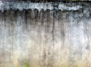 1432912_49863684